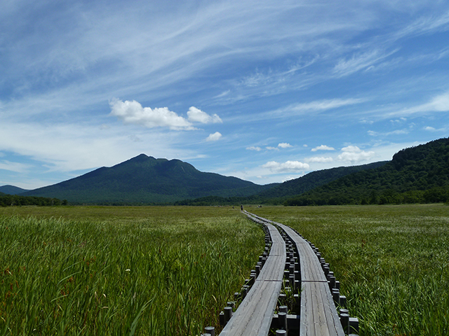 photo of Ozegahara Plateau, Lake Ozenuma