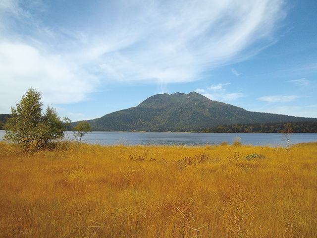 photo of Autumnal-tinted grass on the shore of Lake Ozenuma and Mt. Hiuchigatake (October)