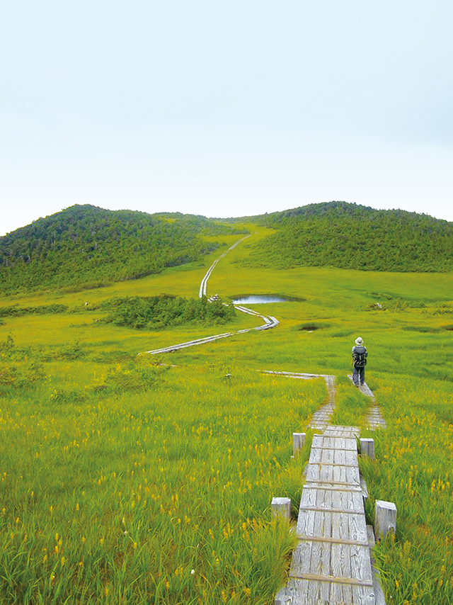 photo of Kumazawa-Tashiro Marsh (August)