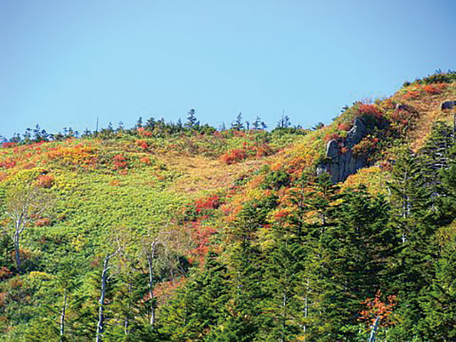 photo of Mt. Daikuratakayama, Mt. Taishaku, Mt. Tashiro