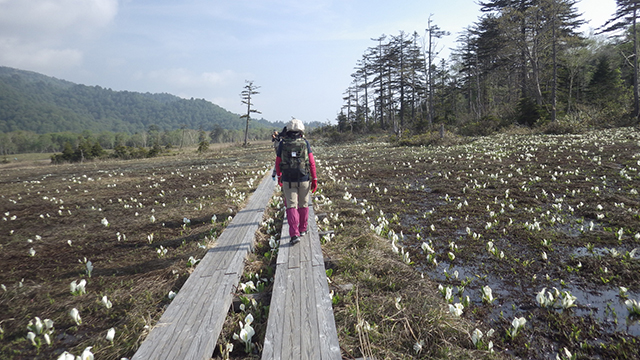 photo of Hiking