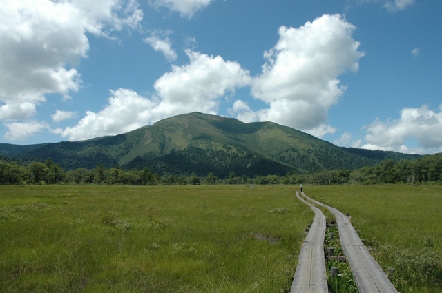 タイトル　尾瀬ヶ原より至仏山