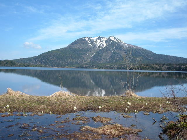 タイトル　尾瀬沼南岸から望む燧ヶ岳