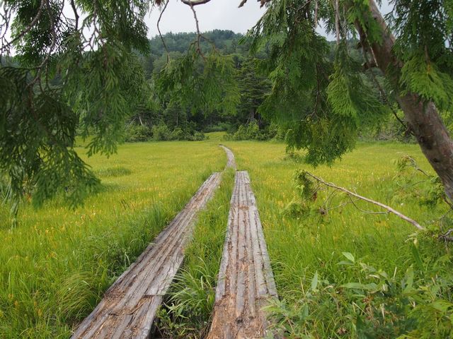 タイトル　【8月】広沢田代