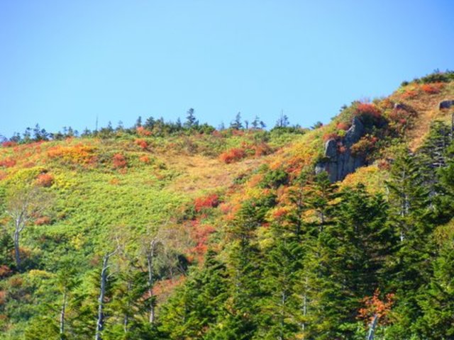 タイトル　紅葉の眺望