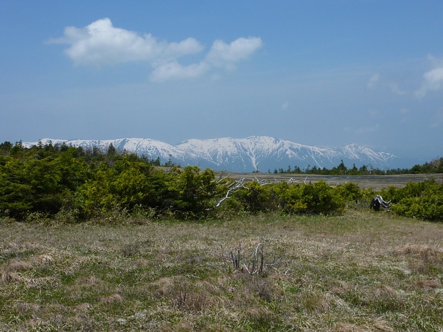 タイトル　田代湿原より周囲を望む（6月）