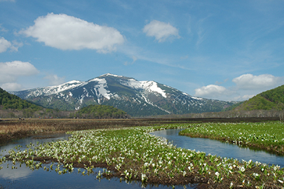 photo 1 of Oze National Park