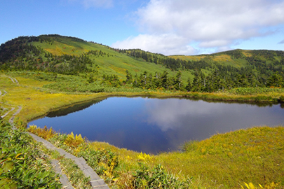 photo 10 of Oze National Park