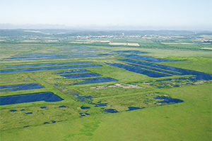 photo of Post Peat Mining Site