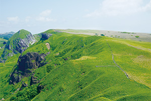 Windswept Grassland on the Rebun-to Island