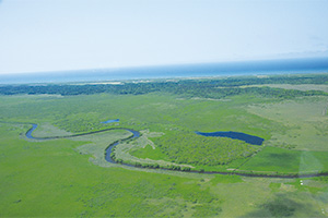 The Sarobetsu Plain