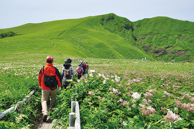 photo of Momoiwa Trail