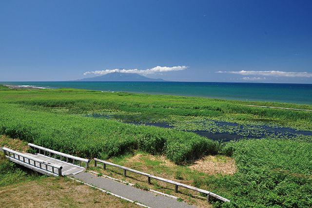 浜勇知園地の写真