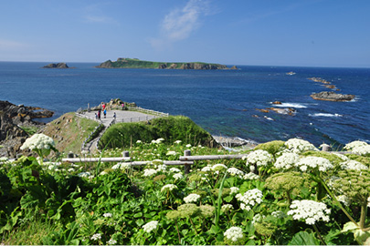 photo 2 of Rishiri-Rebun-Sarobetsu National Park