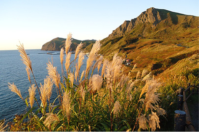 photo 6 of Rishiri-Rebun-Sarobetsu National Park