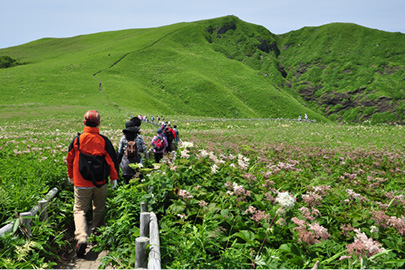 photo 7 of Rishiri-Rebun-Sarobetsu National Park