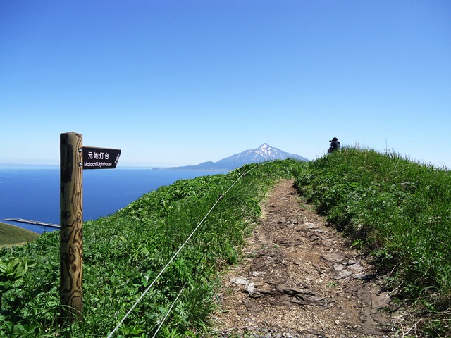 タイトル　初夏の桃岩展望台コースと利尻山