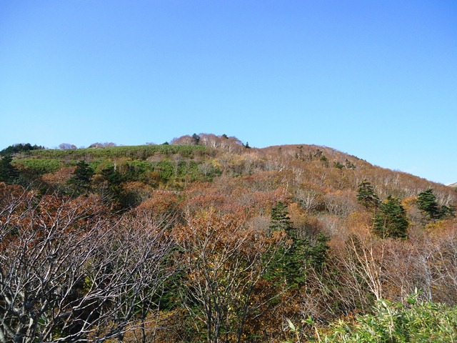 タイトル　礼文島の紅葉