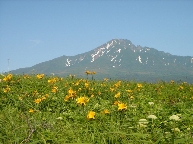 タイトル　御崎園地からの利尻山