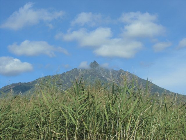 タイトル　南浜湿原