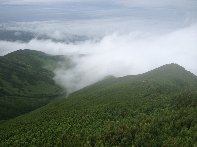 タイトル　7月利尻山