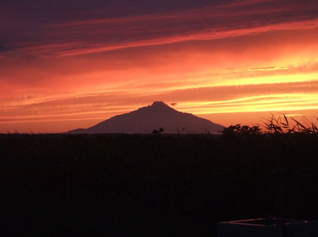 タイトル　夕暮れのパンケ沼園地