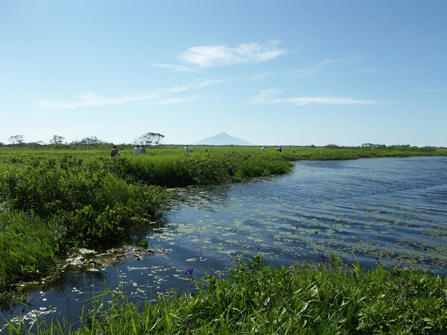 タイトル　初夏の長沼