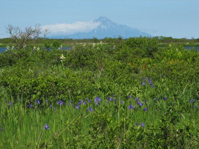 タイトル　小沼と利尻山