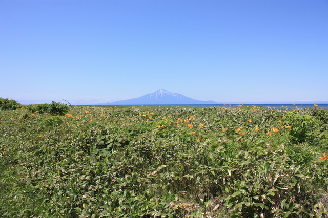 タイトル　初夏の海岸砂丘と利尻山（１）