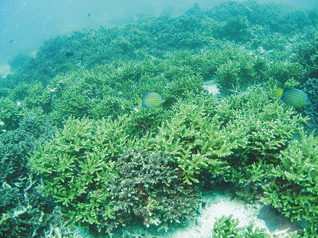 photo of Fukue Marine Park