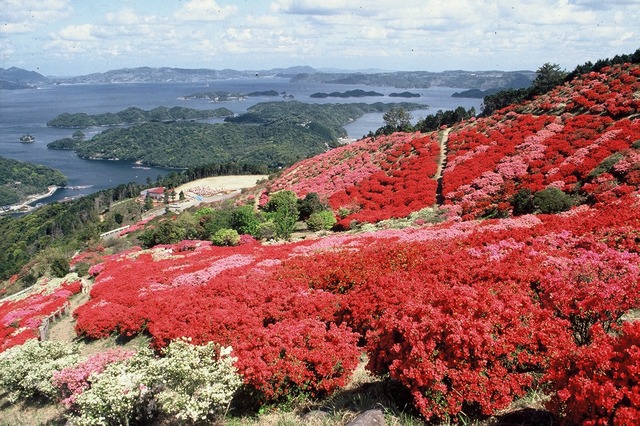 タイトル　長串山公園