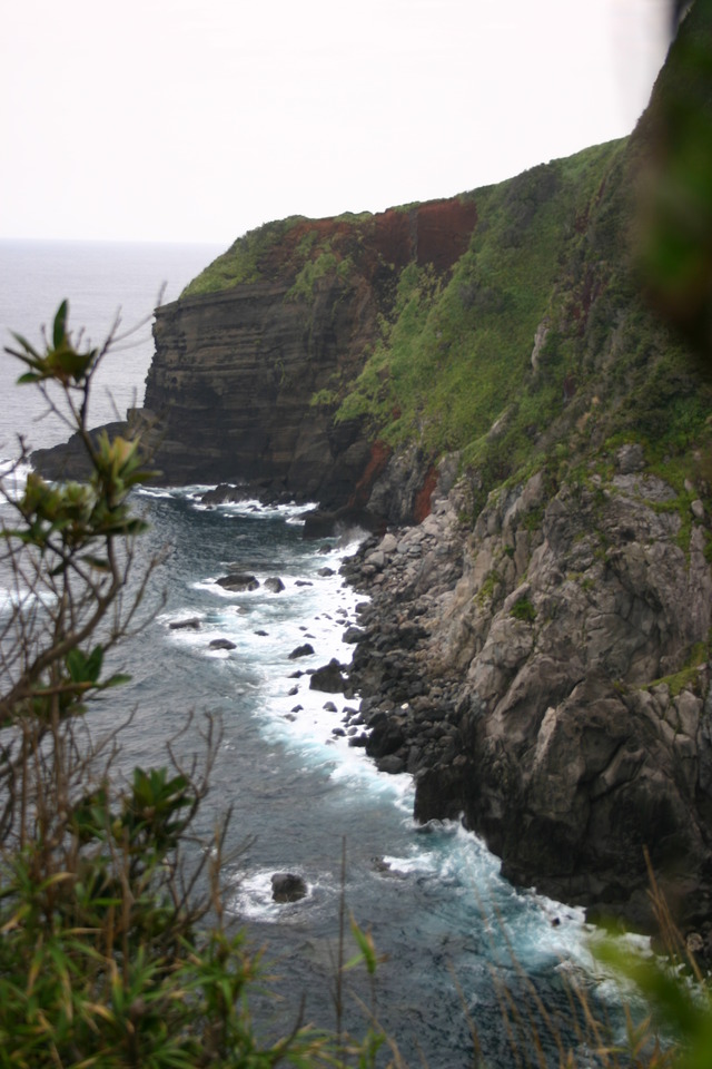 タイトル　嵯峨野島の海蝕崖