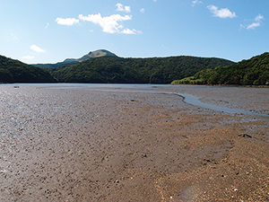 平戸島の若宮浦干潟の写真