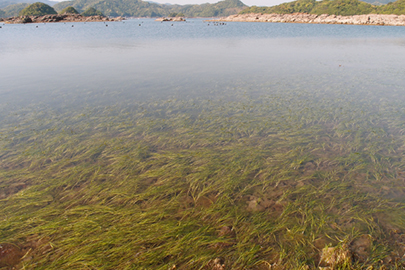 多島海海上国立公園