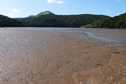 photo 5 of Saikai National Park