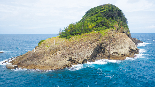 三尾大島の写真