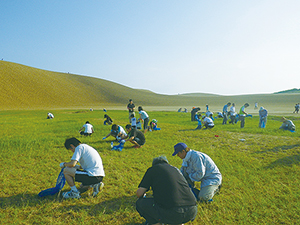 photo of Weeding Sand Dunes