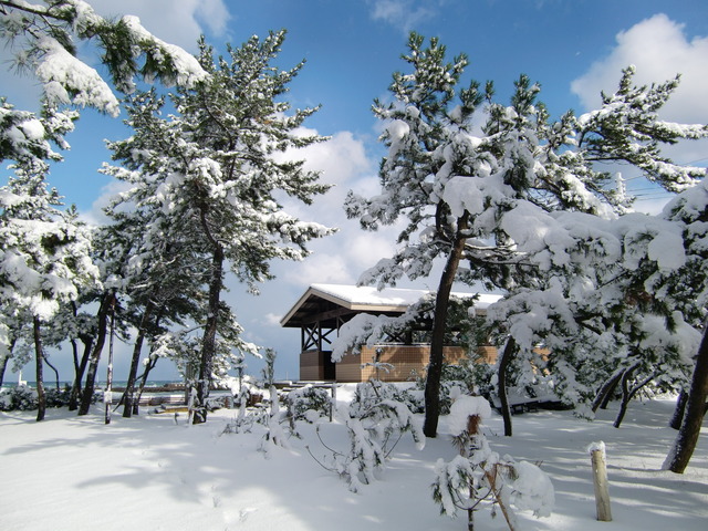 タイトル　弁天浜の雪化粧