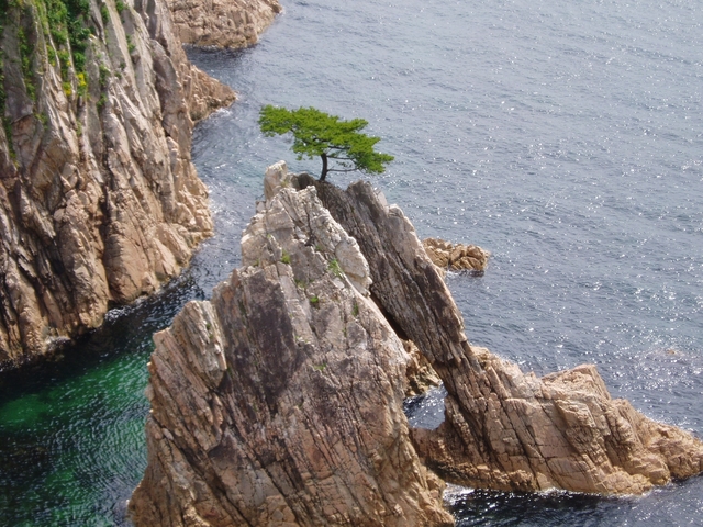 タイトル　千貫松島