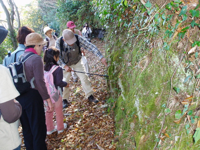 タイトル　城山自然観察会