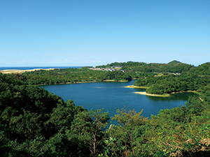 photo of Tanegaike Pond