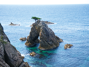 photo of Sengan Matsu-shima Island