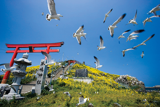 種差海岸の写真