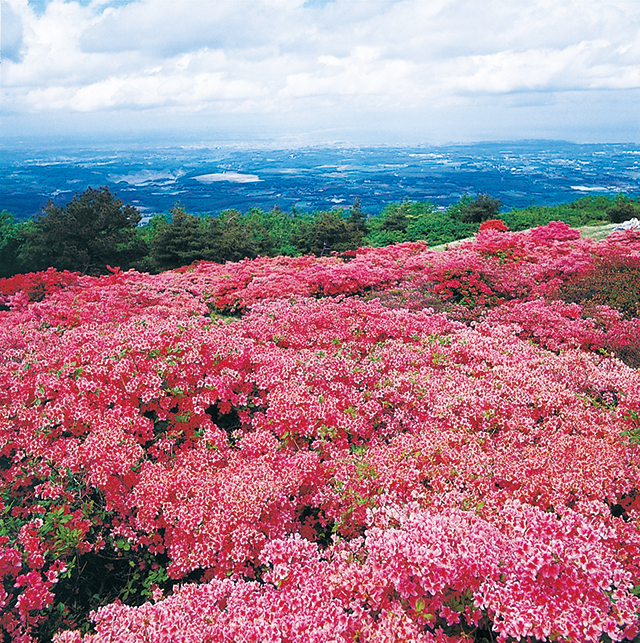 階上岳の写真