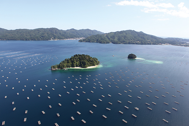 山田湾の写真