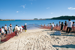 photo of A Beach Seine Experience at Oshima