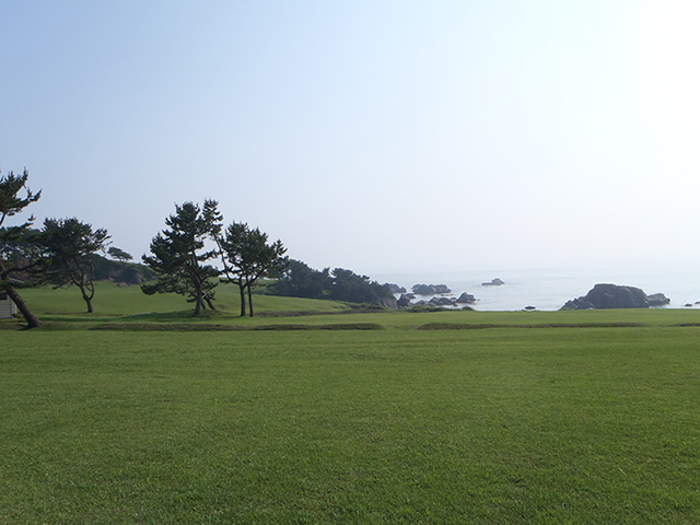 photo of Tanesashi Natural Lawn