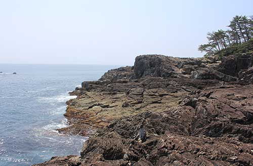 御崎【宮城県気仙沼市】