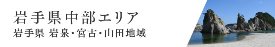 岩手県中部エリア 岩手県 岩泉・宮古・山田地域