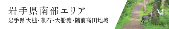 岩手県南部エリア 岩手県 大槌・釜石・大船渡・陸前高田地域